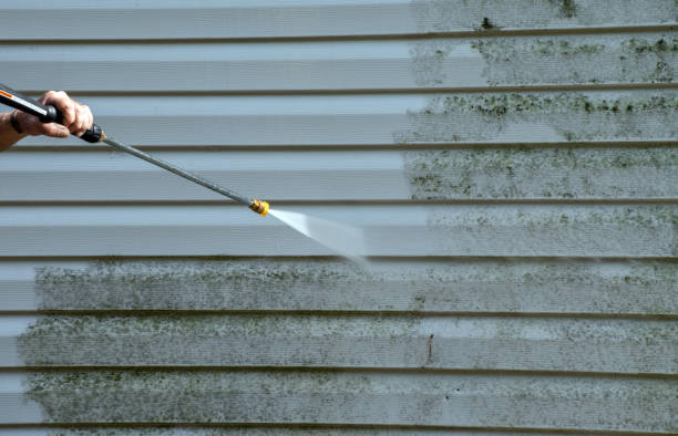 Best Residential Pressure Washing Services  in Churchill, MT